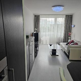 Pronájem bytu 2+kk 43 m² Praha