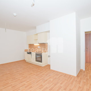 Pronájem bytu 1+kk a garsoniéry 33 m² Liberec, U Nisy