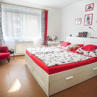 Pronájem bytu 1+kk a garsoniéry 40 m² Chropyně, Moravská