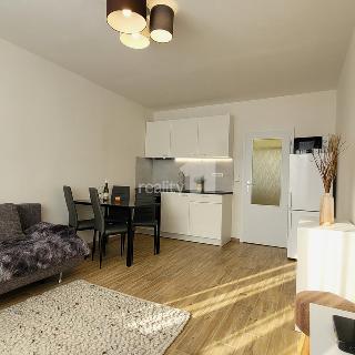 Pronájem bytu 1+kk a garsoniéry 24 m² Praha, Jahodová