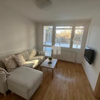 Pronájem bytu 2+kk 50 m² Praha, Na vinobraní