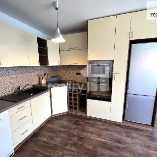 Pronájem bytu 3+1 72 m² Humpolec, Družstevní