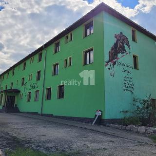 Prodej hotelu a penzionu 24 877 m² Stružná, Stružná