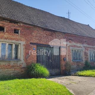 Prodej zemědělské usedlosti 4 415 m² Vítonice, 