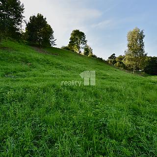 Prodej stavební parcely 6515 m&sup2; Police nad Metují