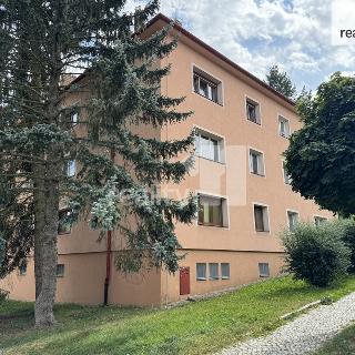 Prodej bytu 2+1 66 m² Jihlava, Ladova