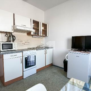 Pronájem bytu 2+1 47 m² Záříčí, Záříčí