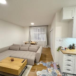 Pronájem bytu 3+kk 74 m² Praha, Křížkovského