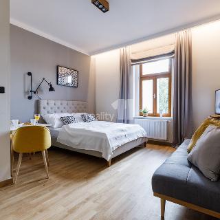 Pronájem bytu 1+kk a garsoniéry 24 m² Praha, Ondříčkova