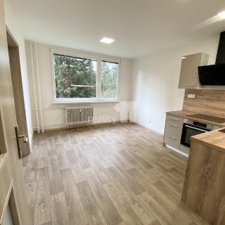 Pronájem bytu 2+kk 34 m² Nový Bor, Sadová