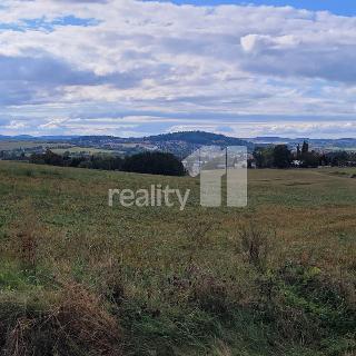 Prodej stavební parcely 5 935 m² Písek, Budějovické Předměstí