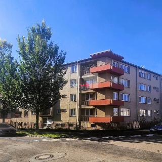 Prodej bytu 3+1 108 m² Poděbrady, Studentská