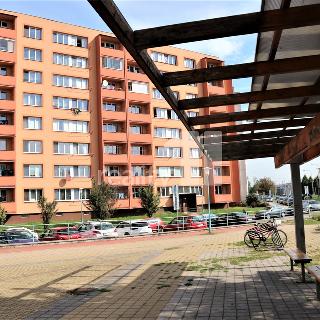 Prodej bytu 3+1 77 m² Ostrava, Varenská