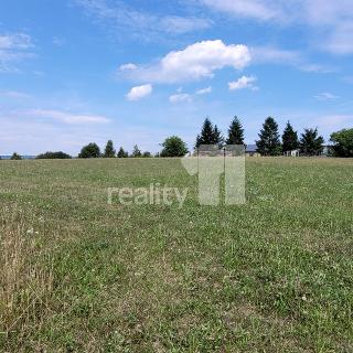 Prodej stavební parcely 4 210 m² Čížová, Topělec