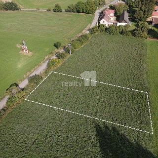 Prodej stavební parcely 1065 m² Řečice