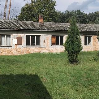 Prodej rodinného domu 88 m² Labské Chrčice, Labské Chrčice