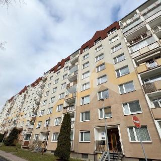 Pronájem bytu 1+1 34 m² Ústí nad Labem, Ořechová