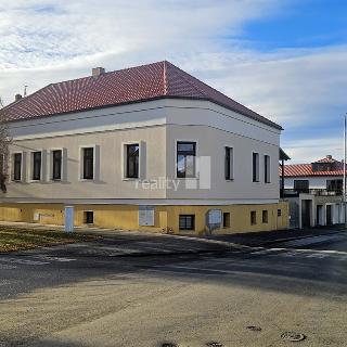 Pronájem bytu 1+kk a garsoniéry 43 m² Kolín, V Zídkách