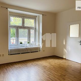 Pronájem bytu 1+1 43 m² Praha, Biskupcova