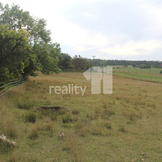 Prodej stavební parcely 5 398 m² Lovečkovice, Lovečkovice