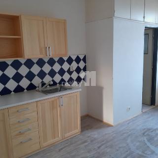 Pronájem bytu 1+1 40 m² Praha, U Harfy