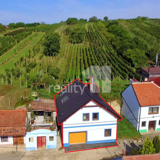 Prodej zemědělské usedlosti 183 m² Bořetice, 