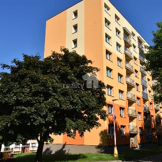 Pronájem bytu 1+1 36 m² Police nad Metují, K Sídlišti