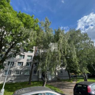 Pronájem bytu 1+1 43 m² Praha Hloubětín, Kukelská