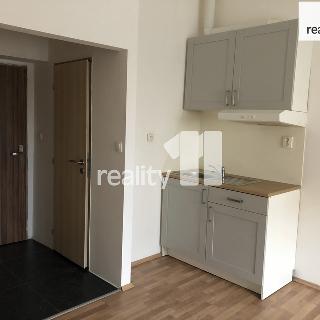 Prodej bytu 1+kk a garsoniéry 24 m² Praha, Michelská