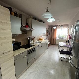 Prodej rodinného domu 320 m² Koberovy, Michovka