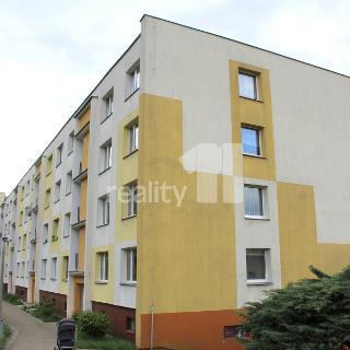 Pronájem bytu 1+kk a garsoniéry 21 m² Ústí nad Labem, Barrandova