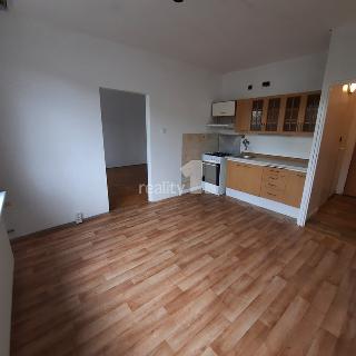 Prodej bytu 1+1 36 m² Děčín, Jezdecká