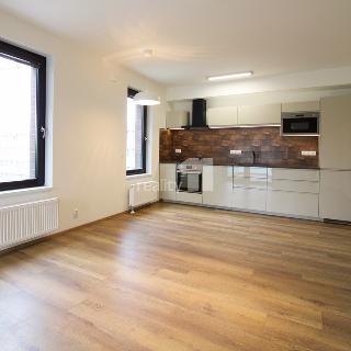 Pronájem bytu 2+kk 51 m² Praha, Nekvasilova