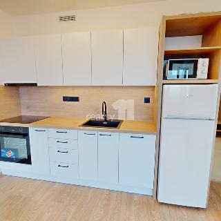 Pronájem bytu 2+kk 54 m² Praha, Zimova