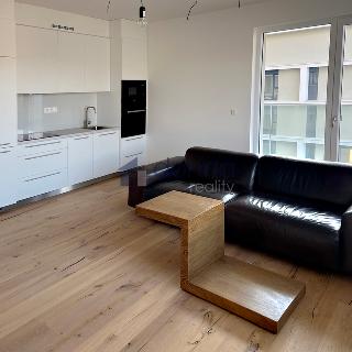 Pronájem bytu 1+kk a garsoniéry 41 m² Praha, Ramonova