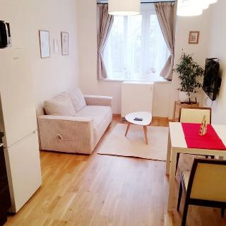 Pronájem bytu 2+kk 46 m² Praha, V olšinách