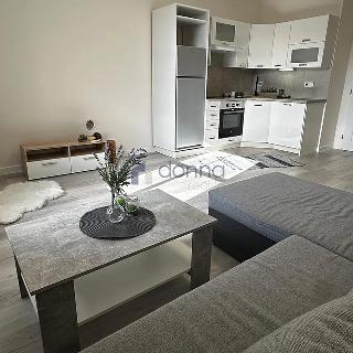 Pronájem bytu 1+kk a garsoniéry 29 m² Praha, Na rozcestí