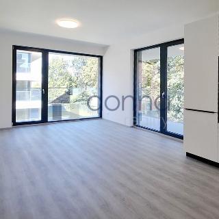 Pronájem bytu 2+kk 57 m² Praha, Kotlaska