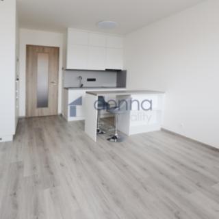 Pronájem bytu 1+kk, garsoniery 39 m² Praha