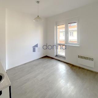 Pronájem bytu 1+1 34 m² Praha, U družstva Život