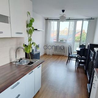 Pronájem bytu 3+kk 63 m² Praha, Hlavatého