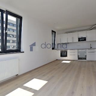 Pronájem bytu 2+kk 54 m² Praha, Olgy Havlové