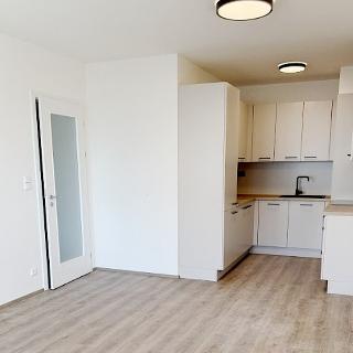 Pronájem bytu 2+kk 55 m² Praha, Kardausova