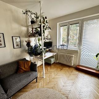 Pronájem bytu 2+kk 55 m² Praha, Skaláků