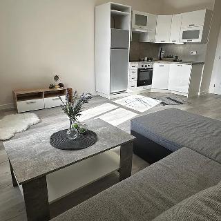 Pronájem bytu 1+kk a garsoniéry 29 m² Praha, Na rozcestí