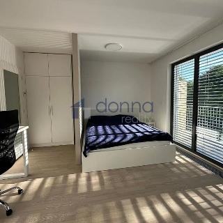 Pronájem bytu 1+kk a garsoniéry 37 m² Praha, Šenácká