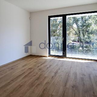 Pronájem bytu 2+kk 58 m² Praha, Kotlaska