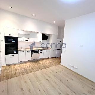 Pronájem bytu 2+kk 54 m² Praha, Stupkova