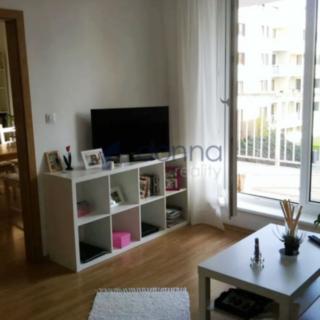 Pronájem bytu 1+1 50 m² Praha