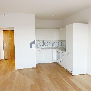 Pronájem bytu 2+kk 55 m² Praha, V třešňovce